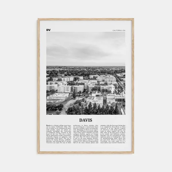 Davis, California Travel Poster, Black and White