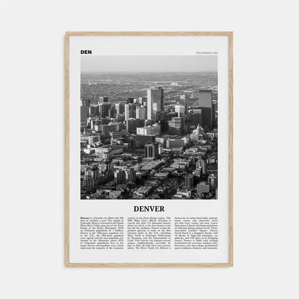 Denver Black and White No. 3 Travel Poster