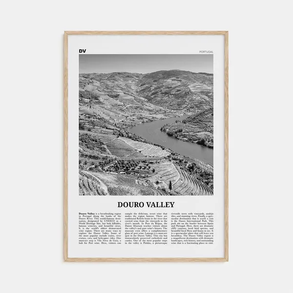 Douro Valley Black and White Travel Poster, Portugal