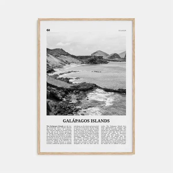 Galapagos Islands Black and White Travel Poster
