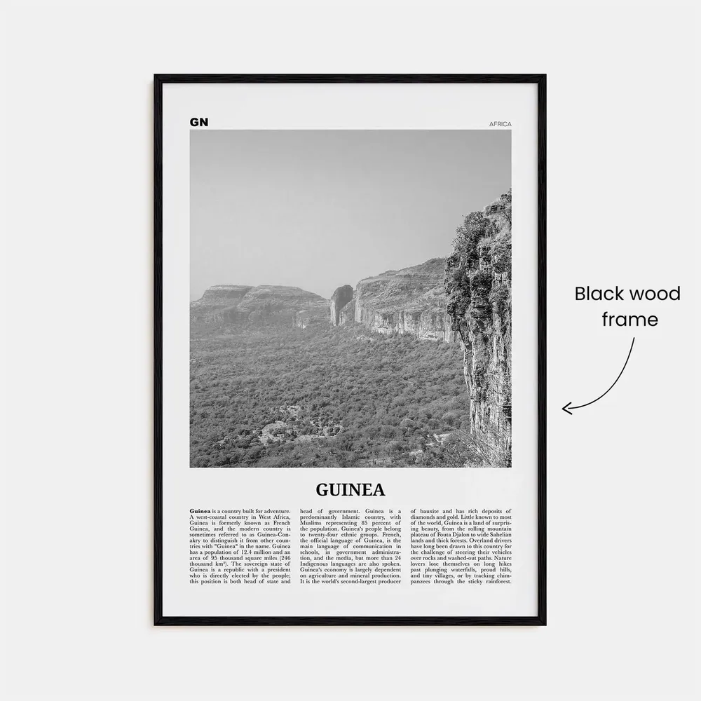 Guinea Black and White Conakry, Africa Travel Poster - Image 3