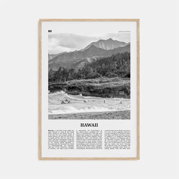Hawaii Black And White No 1 Travel Poster