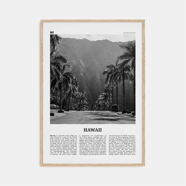 Hawaii Black And White No. 2 Travel Poster