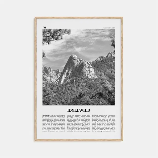 Idyllwild Black And White No. 2 Travel Poster