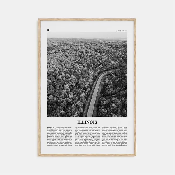 Illinois No. 2 Black and White Map Art Poster