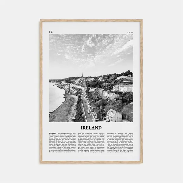 Ireland Black and White No. 2 Travel Poster, Dublin