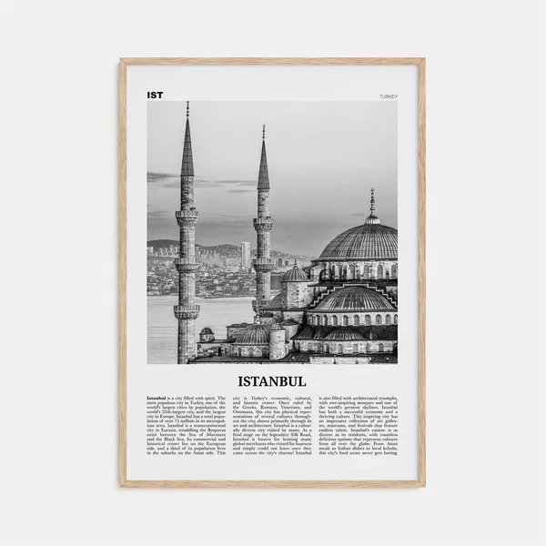 Istanbul Black and White Travel Poster, Turkey