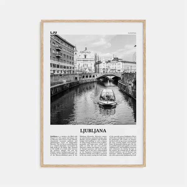 Ljubljana Black And White Europe Travel Poster