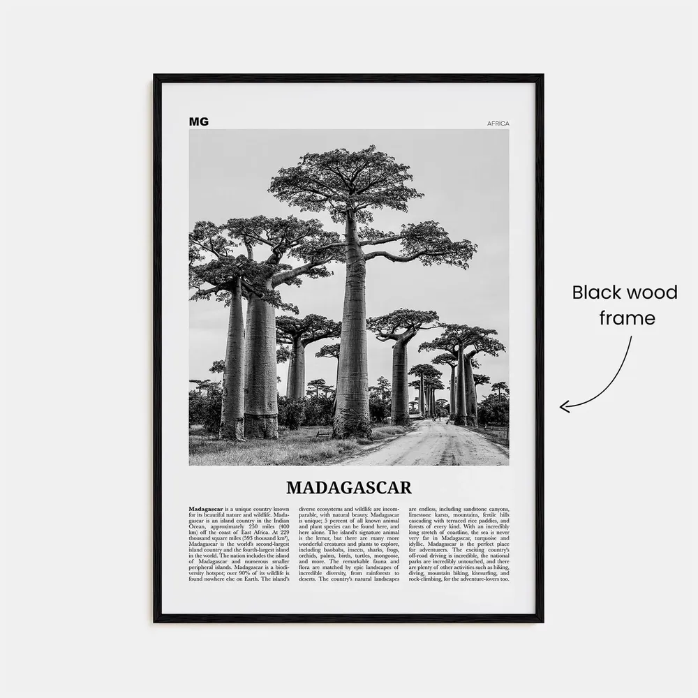 Madagascar Black and White Travel Poster, Antananarivo - Image 3