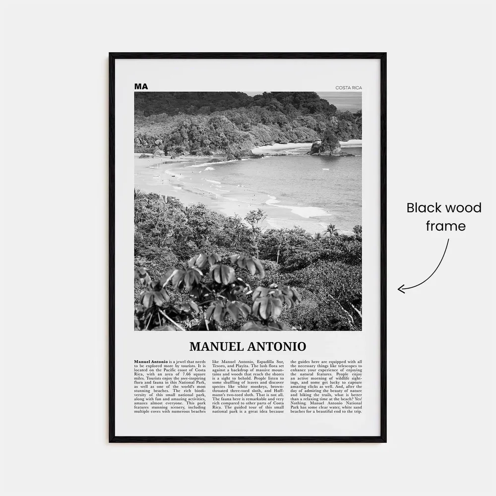 Manuel Antonio National Park Black and White Art Print - Image 3