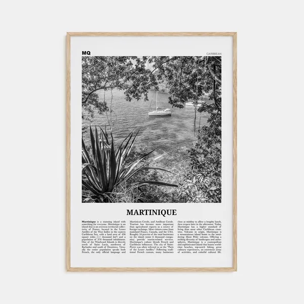 Martinique Black and White Travel Poster, Fort-de-France