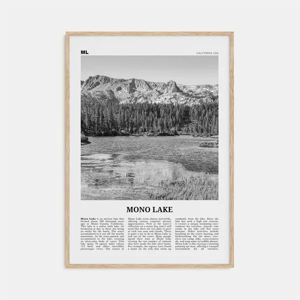 Mono Lake Travel Poster, California Map Art Print