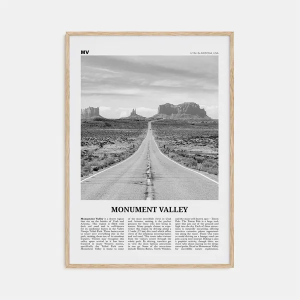 Monument Valley Black and White Travel Poster