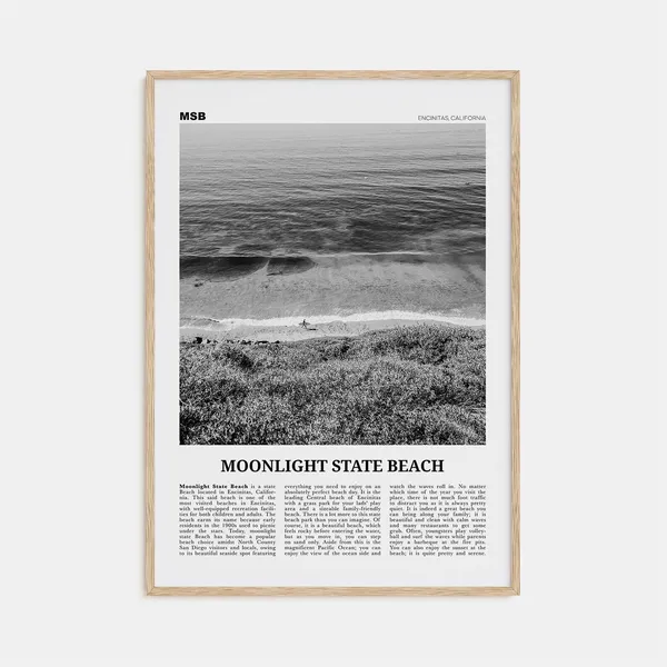 Moonlight State Beach, Encinitas Travel Poster