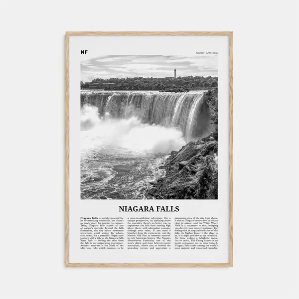 Niagara Falls Black and White North America Travel Poster