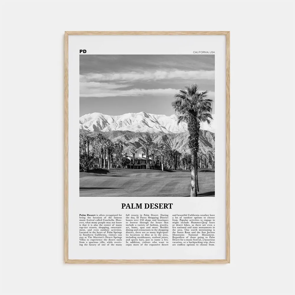 Palm Desert Black and White Travel Poster, California