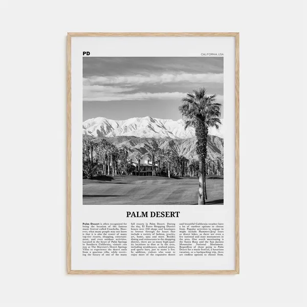 Palm Desert Black and White Travel Poster, California