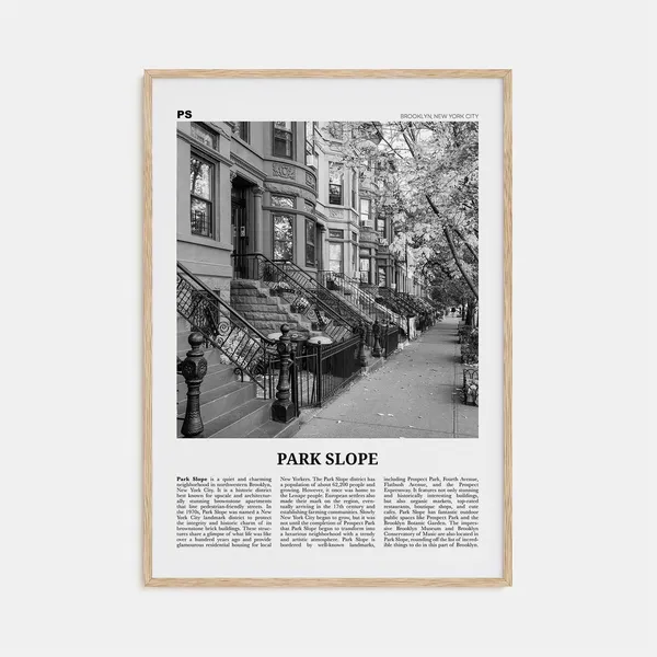 Park Slope Black and White Travel Poster