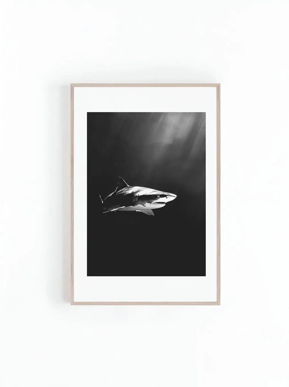 Tiger Sharks in Hawaii, Black and White Art Print