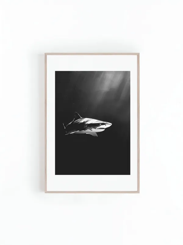Tiger Sharks in Hawaii, Black and White Art Print
