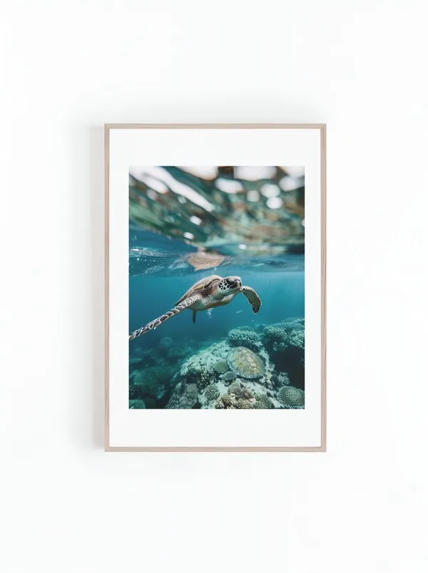 Turtle Swimming In Coral Reef - Hawaii