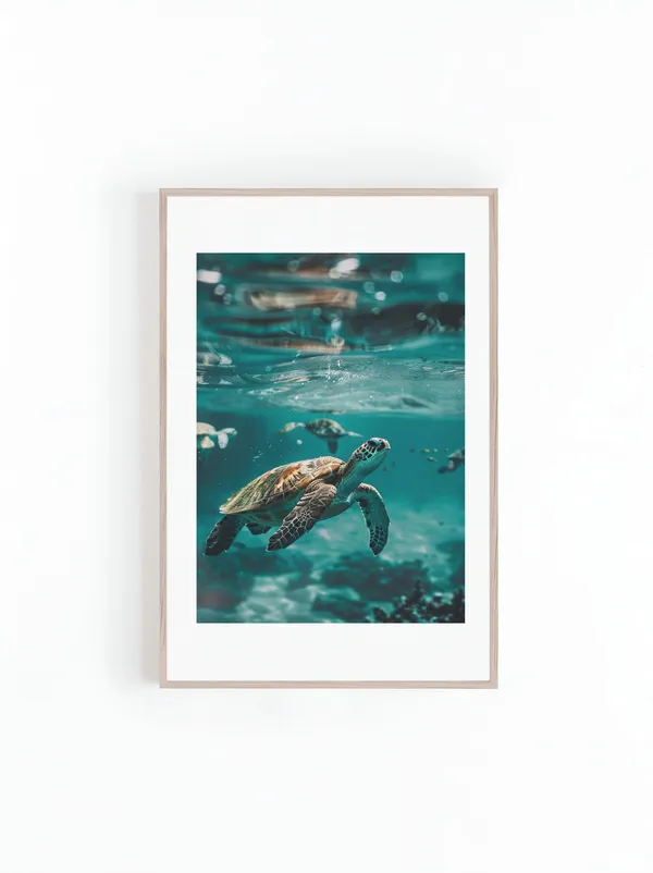 Under Water Turtle Swimming In Coral Reef Near Hawaii Poster