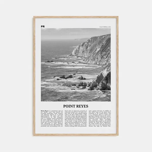Point Reyes Black and White California Travel Poster