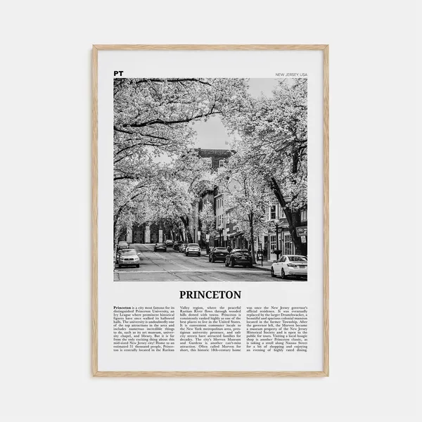 Princeton Black and White Travel Poster, New Jersey
