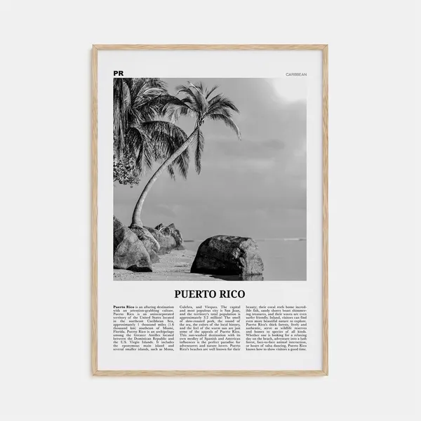 Puerto Rico Black and White Travel Poster, San Juan