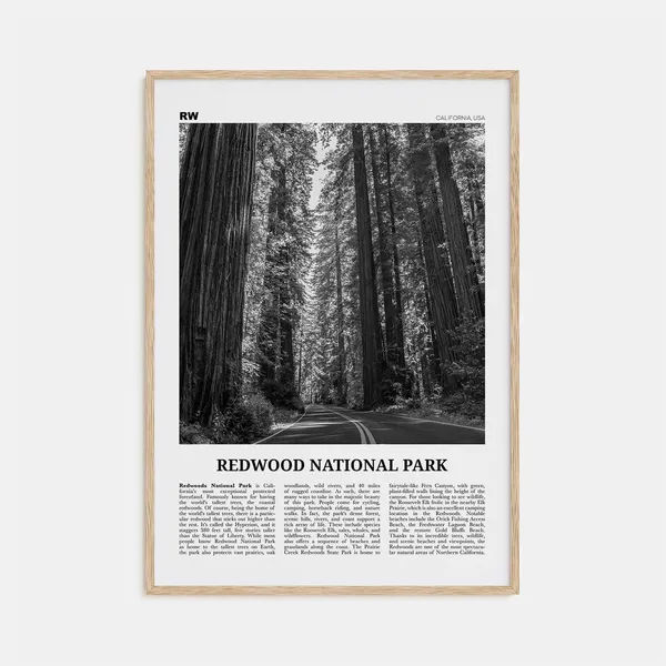 Redwood National Park Black and White Travel Poster