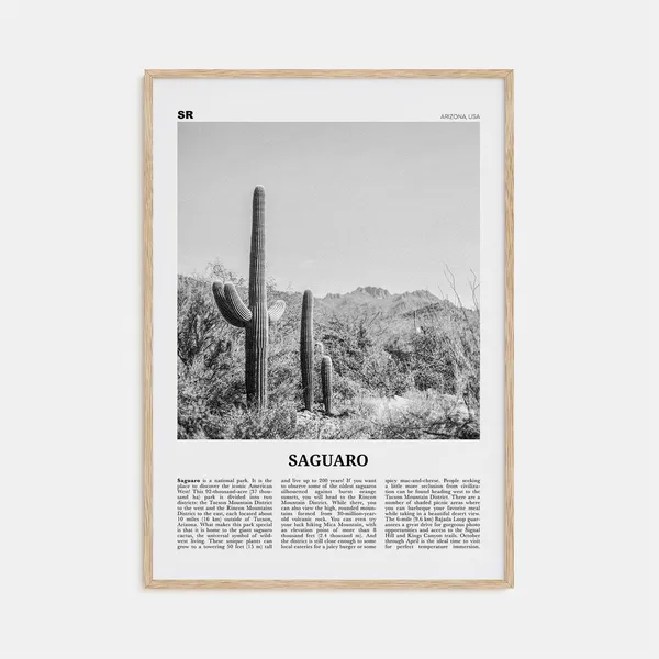 Saguaro National Park Black And White Travel Poster