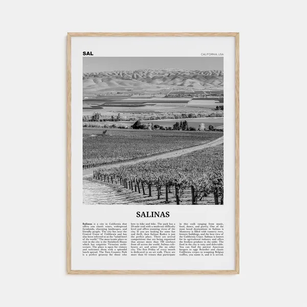 Salinas Black And White Travel Poster, California