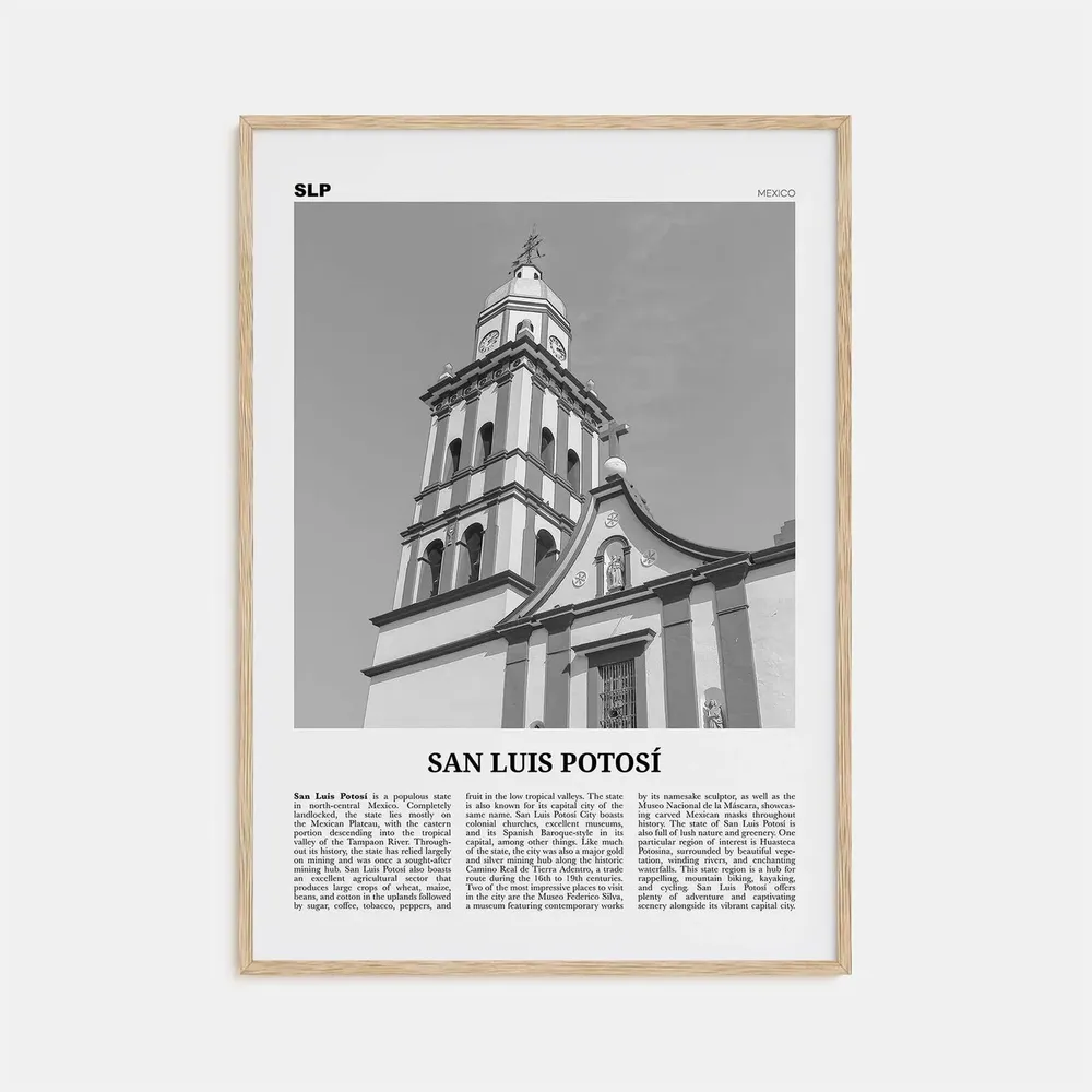 San Luis Potosi Black And White Travel Poster