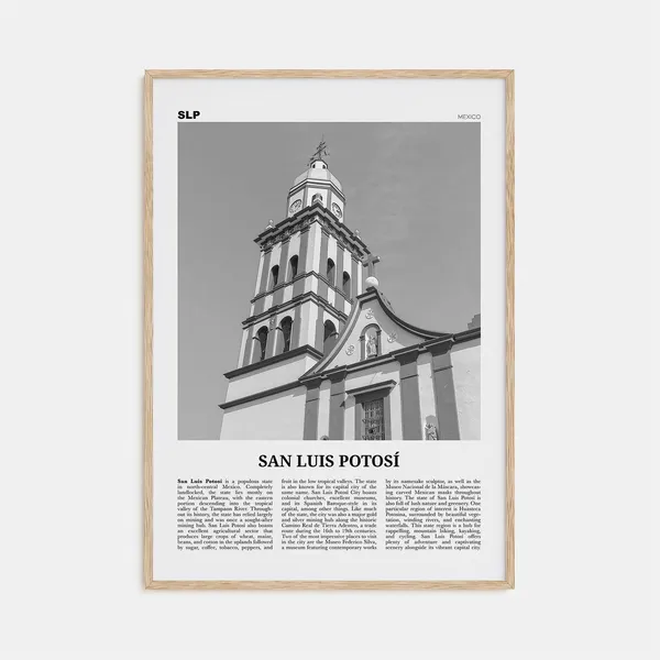 San Luis Potosi Black And White Travel Poster