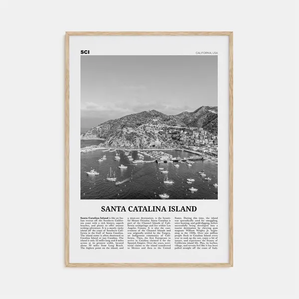 Santa Catalina Island Black And White No. 2 Art Print