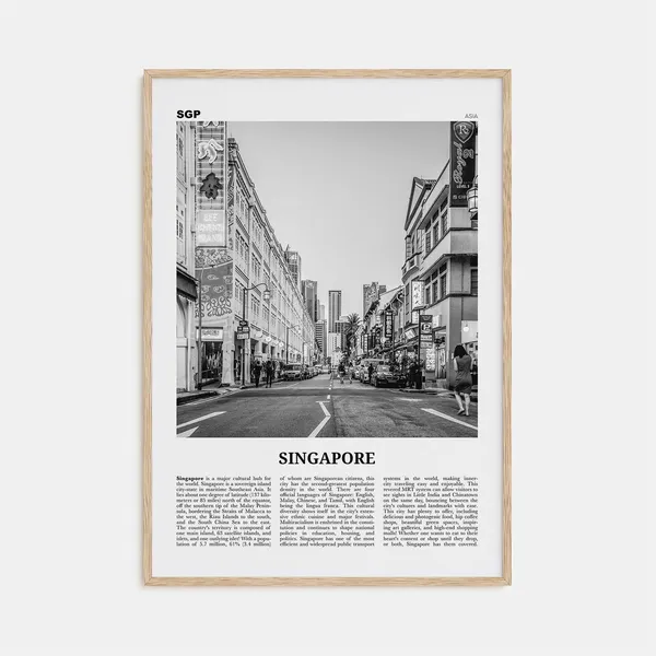 Singapore Black And White No. 2 Travel Poster