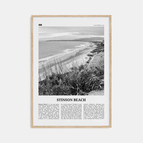 Stinson Beach Black and White California Travel Poster