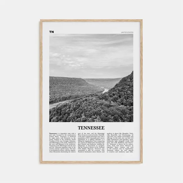 Tennessee Black and White No. 1 Travel Poster