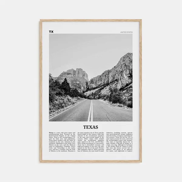 Texas Black and White No. 1 Travel Poster Print
