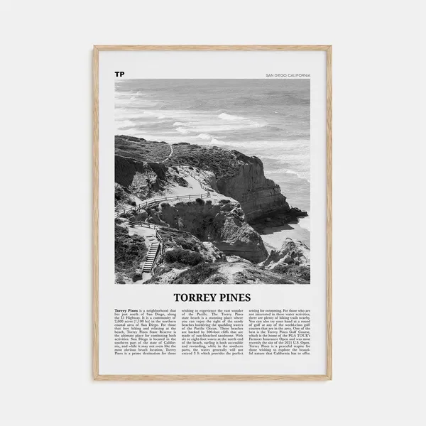 Torrey Pines Black and White Travel Poster, San Diego