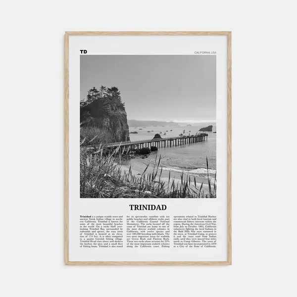 Trinidad Black and White Travel Poster, California