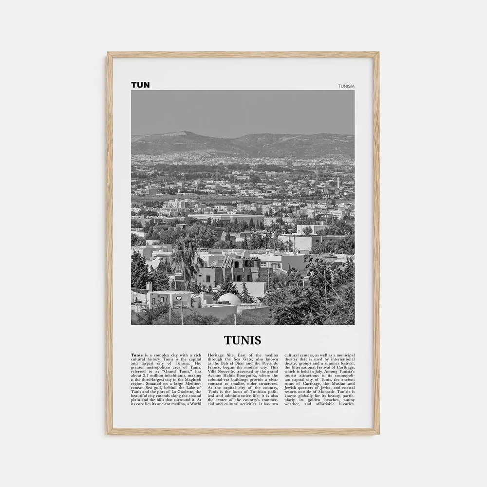 Tunis Black And White Travel Poster, Tunisia Africa