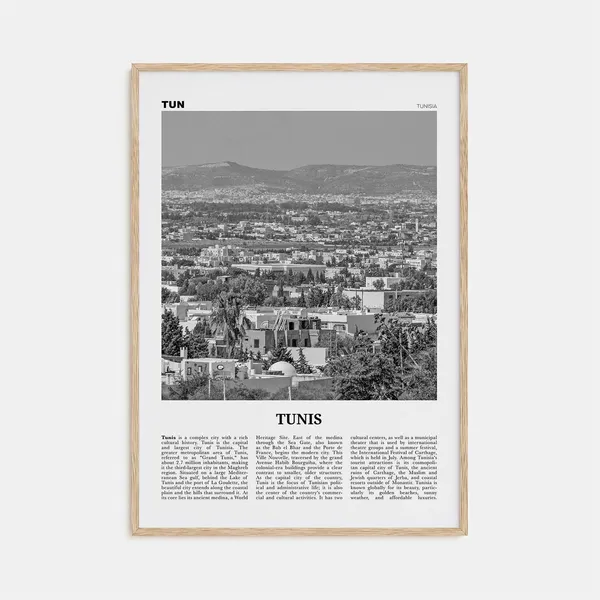 Tunis Black And White Travel Poster, Tunisia Africa