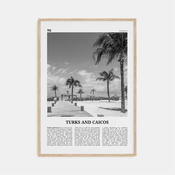Turks and Caicos Islands Black and White Poster Print