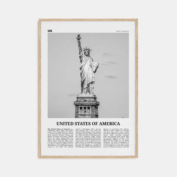 United States Of America Black And White Art Print