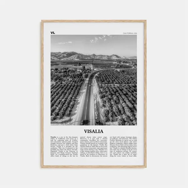 Visalia Black and White Travel Poster, California