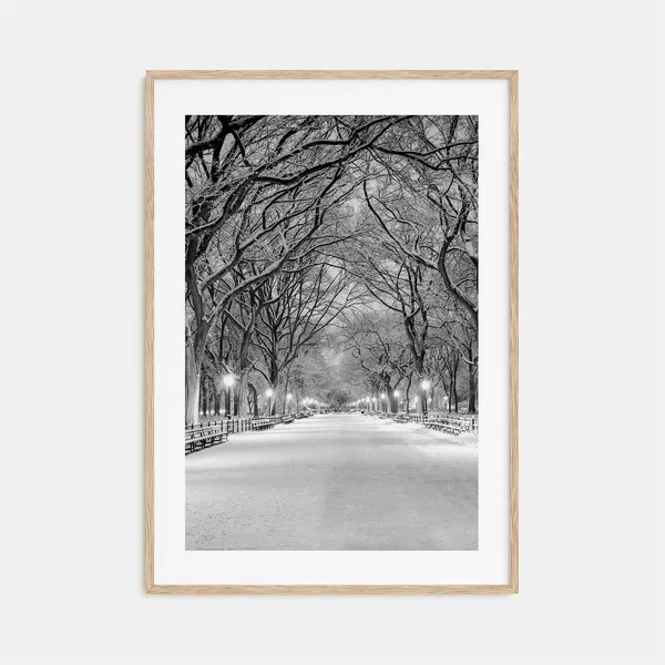 Central Park Black and White Travel Poster