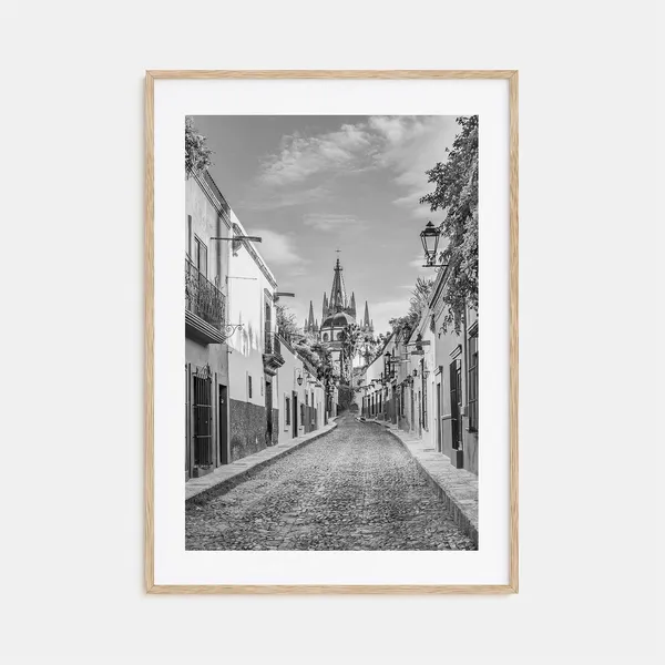 Guanajuato Black And White Travel Poster