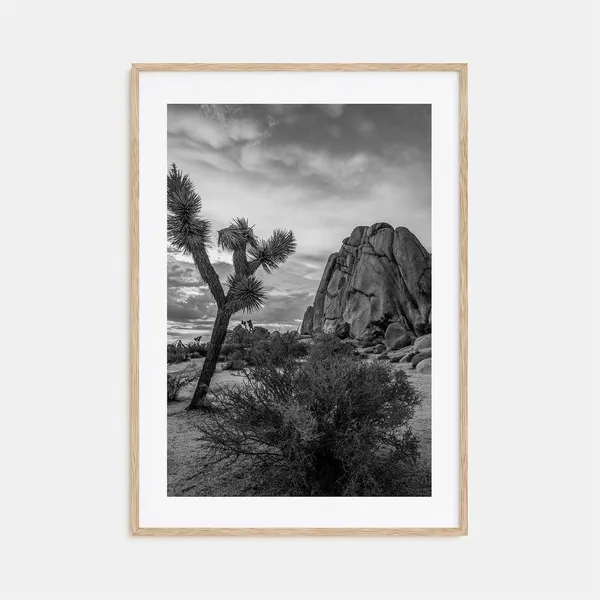 Joshua Tree National Park Black And White Travel Poster