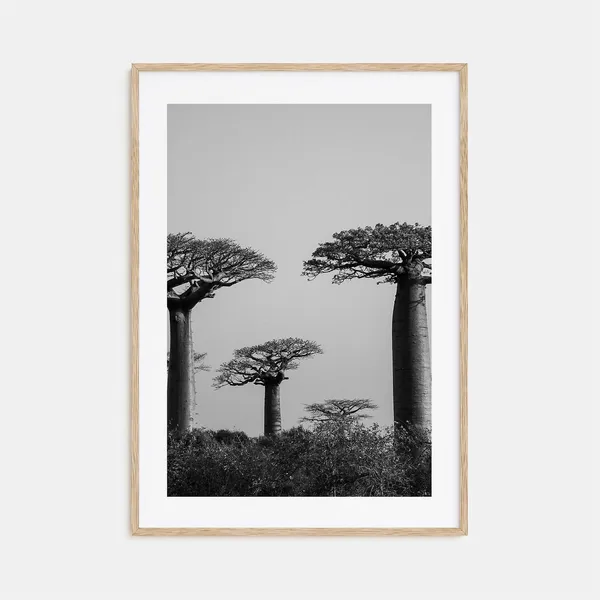 Madagascar Black And White Travel Poster Print